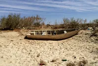 مصائب همجواران هامون+تصاویر