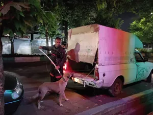 ۱۳ نفر بر اثر گازگرفتگی سگ در آذربایجان‌غربی مصدوم شدند