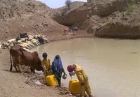 کودک، هوتک، سوتک!
