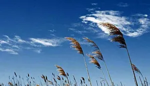 هواشناسی ۱۴۰۵/۰۴/۲۱/ گرد و خاک و تداوم گرما در ایران