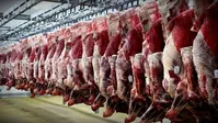 فعالیت صنایع گوشت و مرغ ۳ شیفته شد