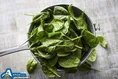 روغن زیتون