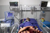 مسمومیت ۲۶۴ نفر با الکل در استان فارس/ فوت ۳۱ نفر