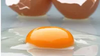 تخم مرغ را جایگزین گوشت و مرغ کنید!