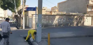 آغاز فاز سوم طرح کنترل جوندگان در تبریز
