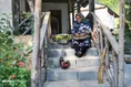 گردوچینی