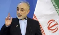 صالحی: با برجام، صنعت هسته‌ای نه متوقف شد و نه کُند