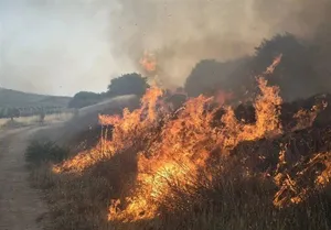 آتش‌سوزی در منطقه حفاظت‌شده بمو