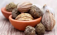 گیاهی که موهایتان را مشکی می‌کند