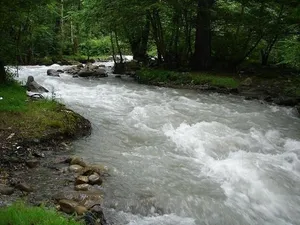 ماجرای گل‌آلودشدن رودخانه جورد