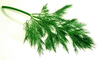 غلبه بر چربی خون بالا با شربتی سنتی