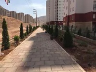سلطان‌های مسکن در پردیس چه کسانی هستند؟