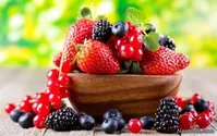 رازهایی درباره توت‌ها