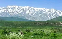 آسیب گرما به جنگل‌های زاگرس