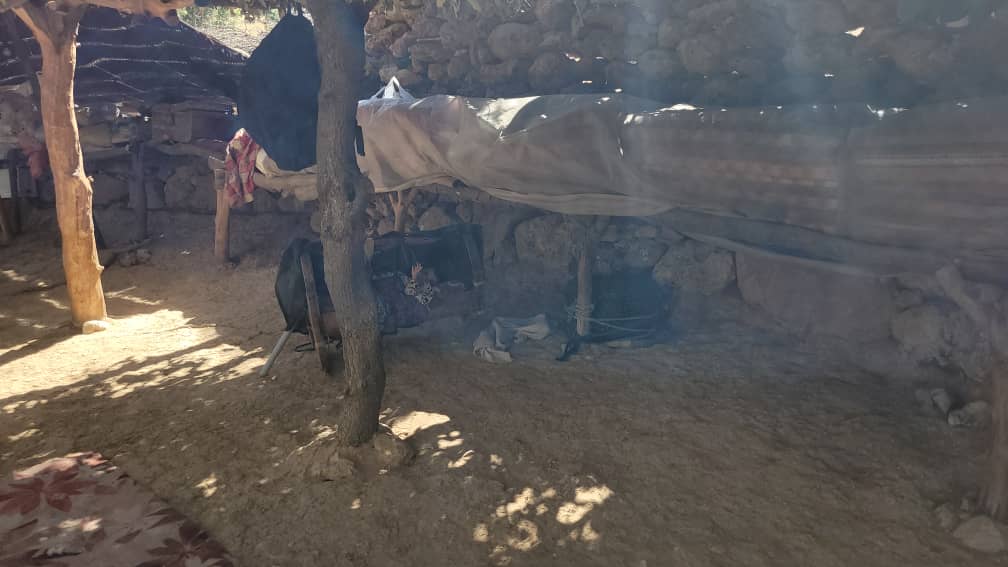 پلنگی
