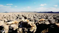 دیپلماسی «یکشنبه»‌ها