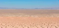 تصاویر| گاوخونی همچنان تشنه است!
