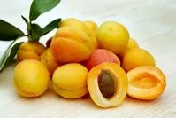 خوردن هسته‌ زردآلو خطرناک است؟