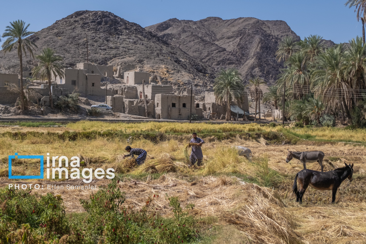 سیستان و بلوچستان