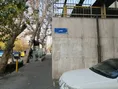 ادبیات