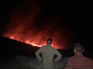 آتش سوزی منطقه حفاظت‌شده شیمبار اندیکا