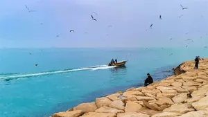 شرجی ۱۰۰ درصدی نفس بوشهر را گرفت