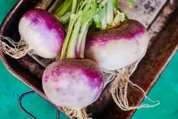 مصرف این سبزی در زمستان بسیار مفید است