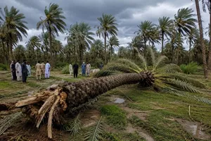طوفان و رعد و برق در ایرندگان خاش؛ ۲ کشته و ۳ زخمی