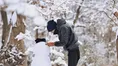 باران