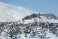باران