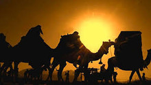 فروغ تاریکی