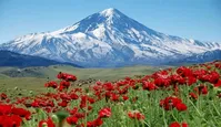 دماوند همچنان در وقف؛ نیمه شب در اداره ثبت اسناد رینه چه گذشت؟ جنگل‌های هیرکانی وقف امامزاده حارث شد؟