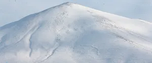 تصاویر | سهند سپیدپوش شد