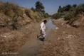 منصوره