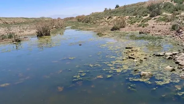  آب های آلوده به فاضلآب در شرق شیراز
