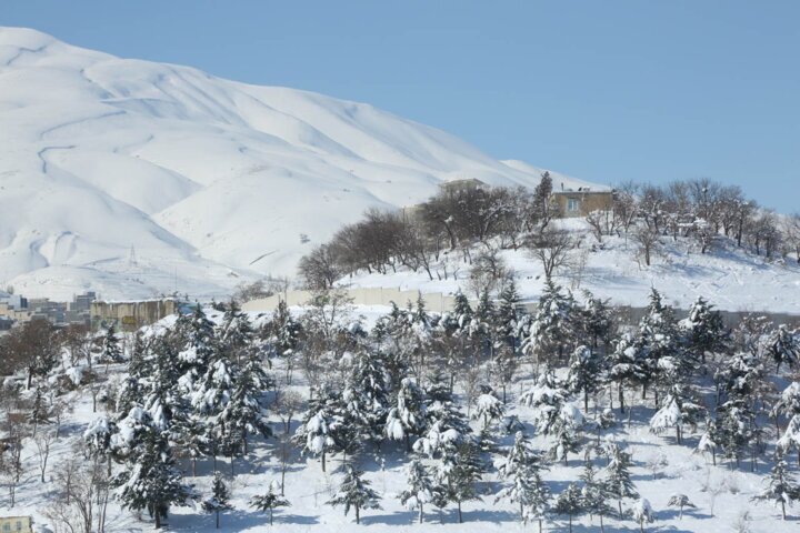 باران
