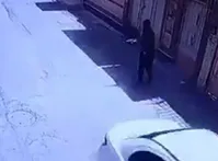 قاتلان مجید عبدالباقی، برادر مالک متروپل بازداشت شدند
