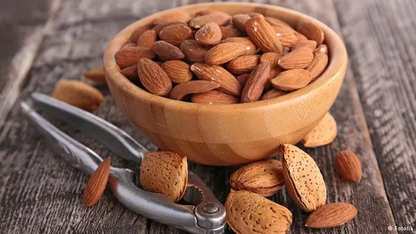 مغز بادام تلخ به مقدار کم حاوی سیانور دو پتاس و اسید سیاندریک است که اگر فردی به مقدار زیاد آن را مصرف کند، مسموم می&zwnj;شود. مصرف پنج تا ده عدد مغز بادام تلخ در کودکان می&zwnj;تواند مسمومیت شدید به همراه داشته باشد، در بزرگسالان این تعداد به ۵۰ عدد می&zwnj;رسد.