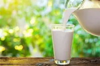 قبل از خواب ۱ لیوان شیر گرم بخورید