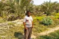 نخل
