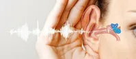این افراد در خطر کم شنوا شدن هستند