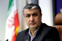 اسلامی: پاسخ‌هایمان به آژانس دقیق بوده است