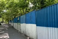 اجازه اعدام درختان در پارک لاله را نخواهیم داد