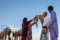 سیستان و بلوچستان