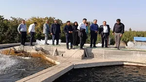 ۲۰ همت برای اشتغال در مراغه