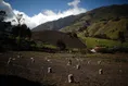 http://aftabnews.ir/