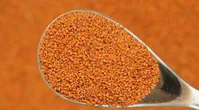 چه کسانی نباید خاکشیر بخورند؟