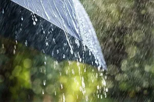 هواشناسی ۱۴۰۵/۰۶/۱۹؛ هشدار بارش باران در ۶ استان