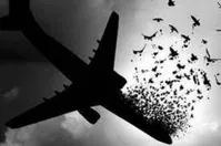 ادعای وزیر خارجه کانادا علیه ایران