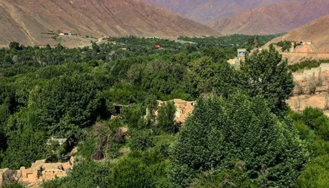 کرمان